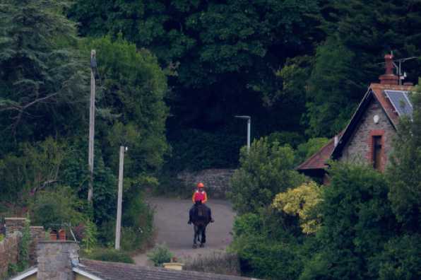 08 June 2020 - 10-16-03 
This is a first. The first photo of a horse on TVFTDO. Coming down Redoubt Hill. Undoubtedly.
-------------------------------------
Horseriders on Redoubt Hill, Kingswear